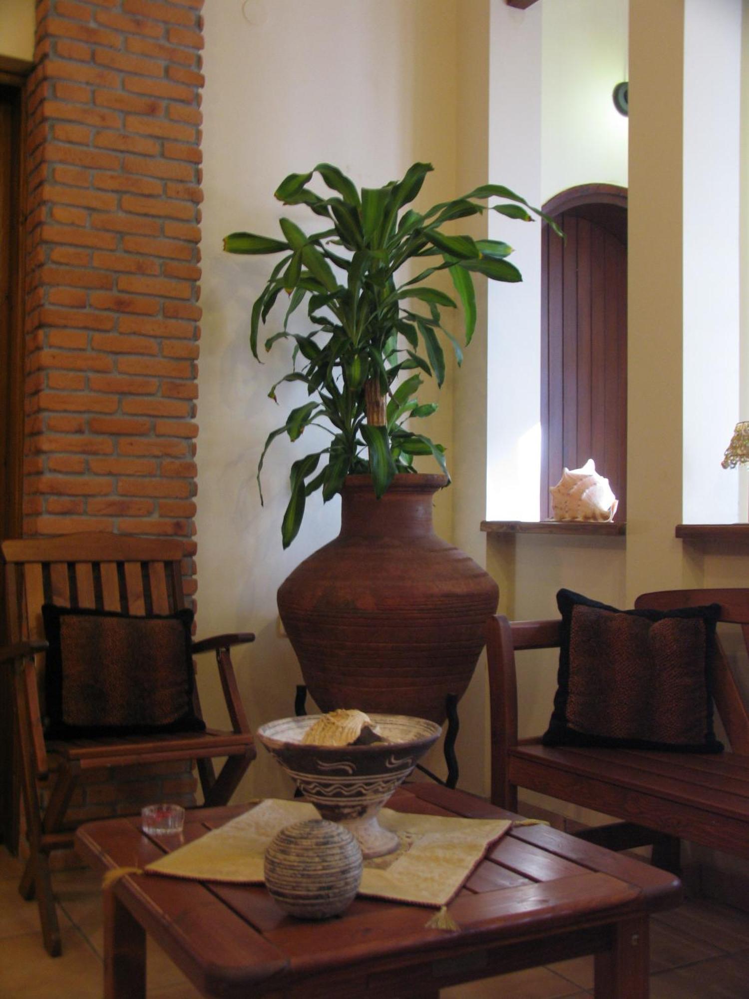 Katia Hotel Áfissos Luaran gambar